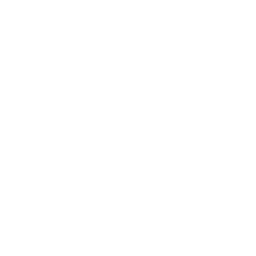 Inicio 7 Asesoría Personalizada