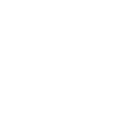 Inicio 4 Venta al por Mayor